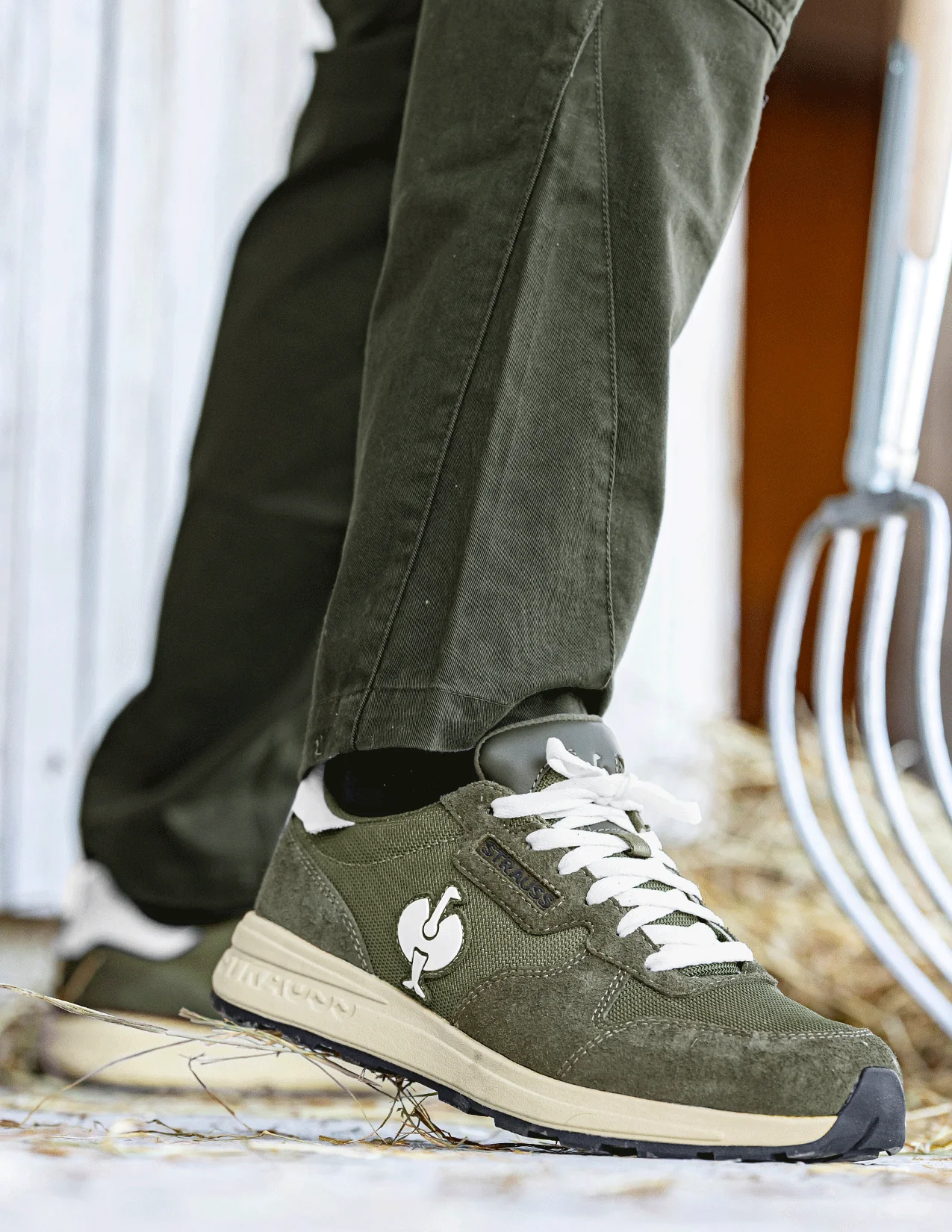 Canberra Steel Toe Work Shoe - Image 5