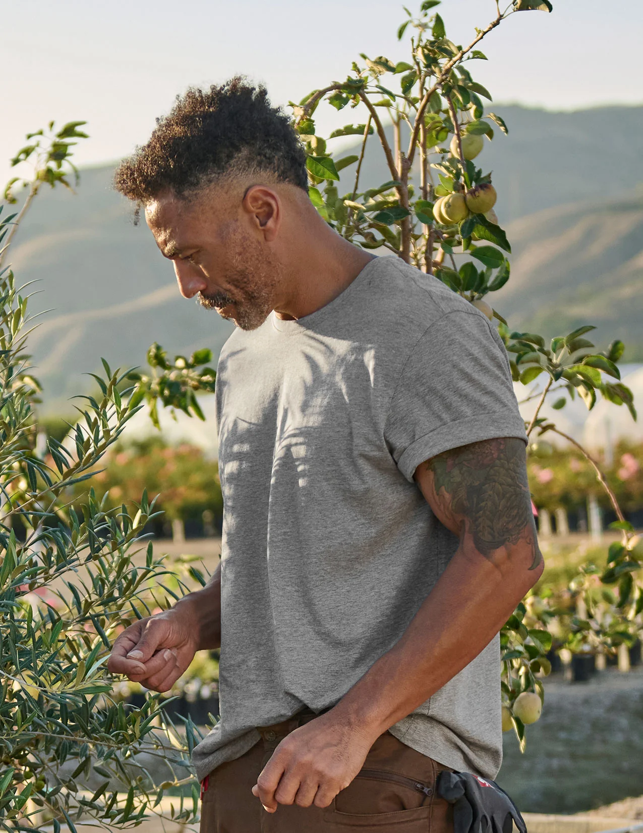 Cotton T-Shirt - Image 4