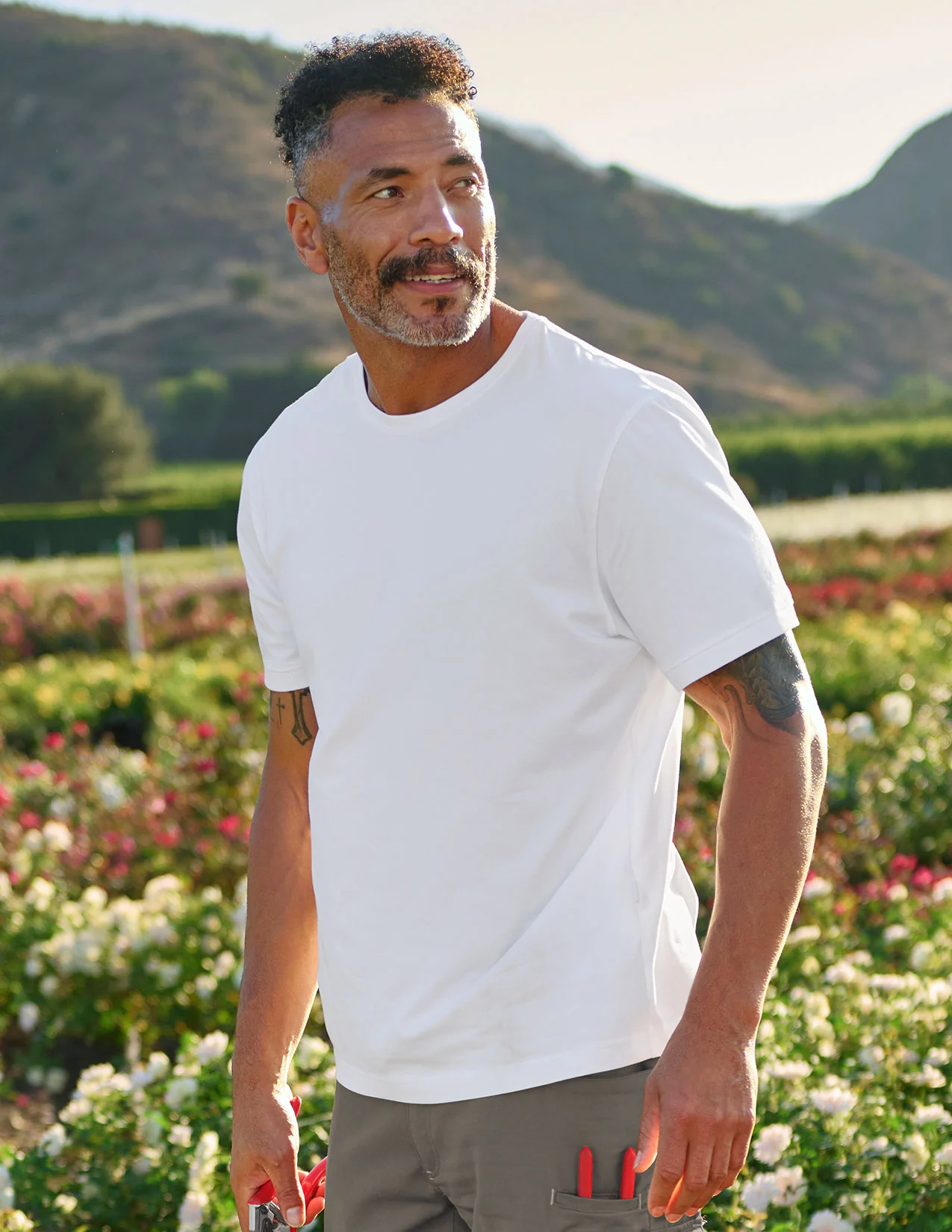 Cotton T-Shirt - Image 2