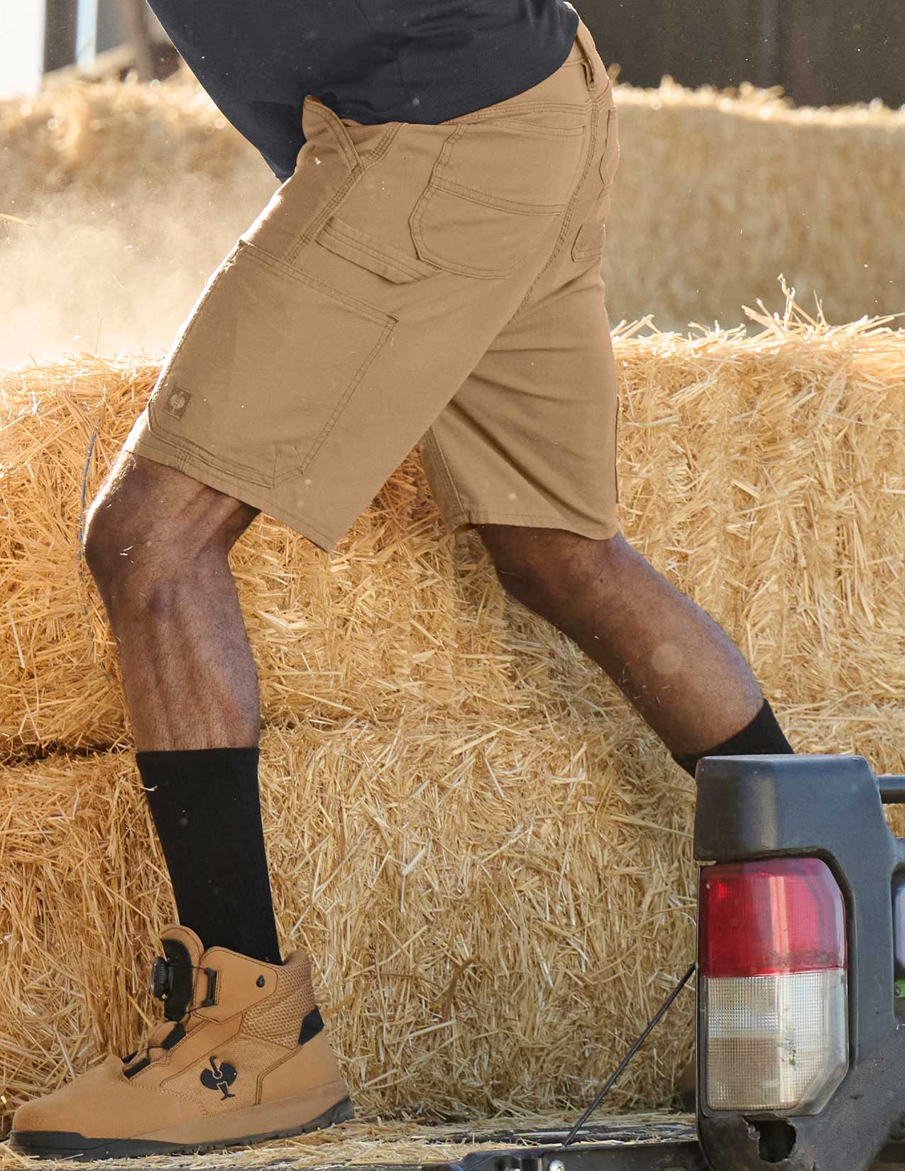 Shorts e.s.iconic - Image 5